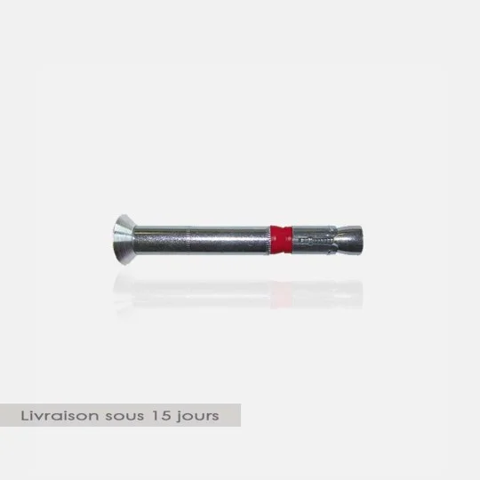 Cheville métallique haute performance TF 8x80mm